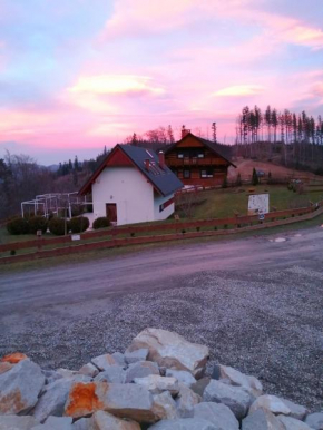 Отель Happy Wisła House BIO - Villa Miodula, Villa Apsinthion  Висла